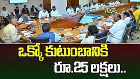 AP Cabinet: ఏపీ కేబినెట్ కీలక నిర్ణయం.. ఒక్కో కుటుంబానికి రూ.25 లక్షల ఉచిత వైద్యం..