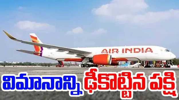 Air India Flight Aborts Takeoff: టేకాఫ్ అవుతుండగా ఎయిర్ ఇండియా విమానాన్ని ఢీకొట్టిన పక్షి