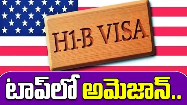 H-1B visa India: ఆపిల్, గూగుల్ కాదు.. అత్యధిక హెచ్‌1బీ వీసా ఉద్యోగులను కలిగిన కంపెనీ ఇదే..