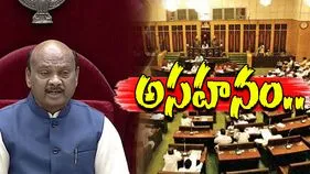 AP Assembly News: మంత్రులపై స్పీకర్ అయ్యన్నపాత్రుడు అసహనం..
