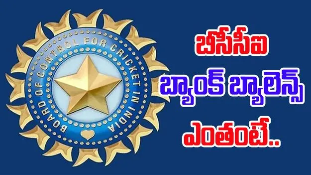 BCCI Bank Balance Surges: 2019లో బీసీసీఐ బ్యాంక్ బ్యాలెన్స్ 6 వేల కోట్లు.. 2024లో ఎంతంటే..