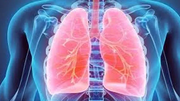 Lung Diseases: 45 ఏళ్లు దాటితే ఊపిరితిత్తుల వ్యాధులు అధికం