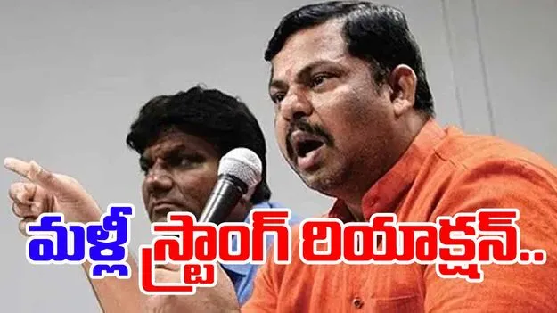 MLA Raja Singh: బీజేపీ రాష్ట్ర కమిటీ ఏర్పాటు.. రాజా సింగ్ రియాక్షన్