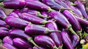 Brinjal: వంకాయతోనూ సమస్యలు.. దీన్ని ఎవరు తినకూడదంటే.. 