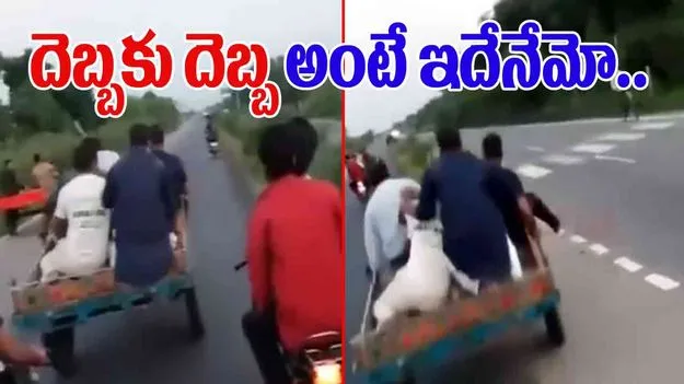 Buffalo Funny Video: మూగజీవి కదా అని హింసిస్తే ఇలాగే అవుతుంది.. ఈ దున్నపోతు ఏం చేసిందంటే.. 