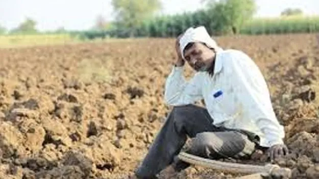Farming Issues: సర్వే నెంబర్‌ ఒకచోట.. సాగు మరోచోట