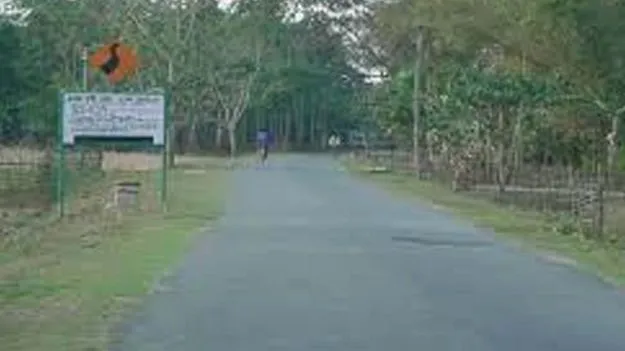 PMGSY Road: పీఎంజీఎస్‌వై రహదారుల నిర్వహణకు 43 కోట్లు 