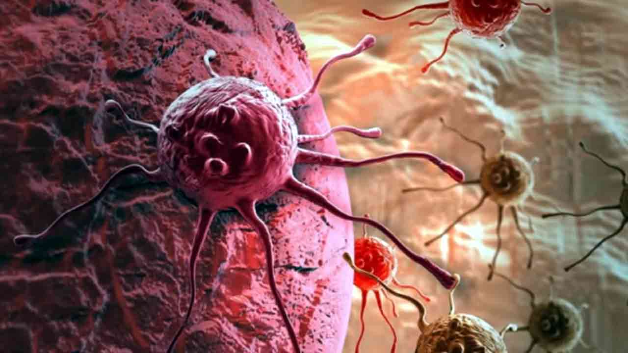 Carrot Health Tips: రోజూ మీ ఆహారంలో.. క్యారెట్‌ను చేర్చడం వల్ల ఎన్ని లాభాలున్నాయో తెలుసా.. 