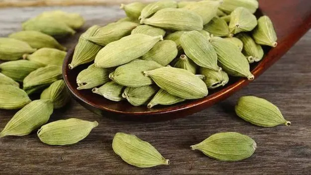 cardamom Chewing: భోజనం చేశాక ఇలాచీ తింటే ఎన్ని బెనిఫిట్సో.. 