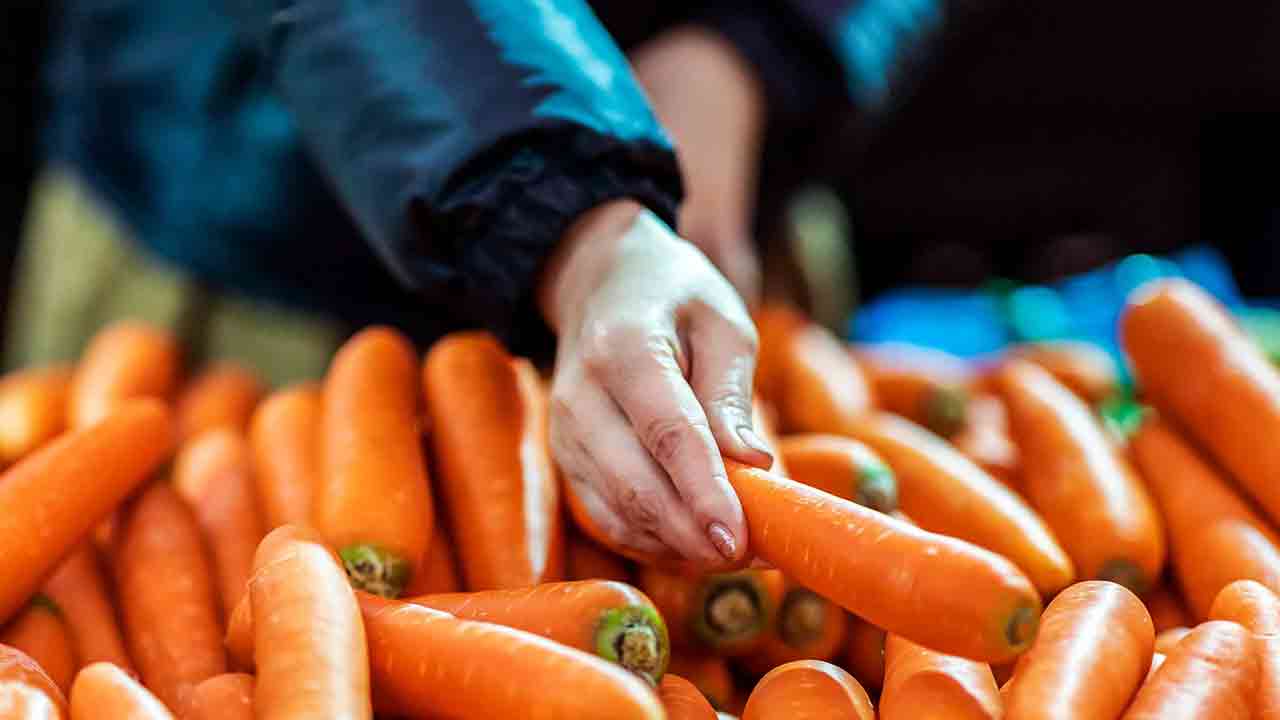 Carrot Health Tips: రోజూ మీ ఆహారంలో.. క్యారెట్‌ను చేర్చడం వల్ల ఎన్ని లాభాలున్నాయో తెలుసా.. 