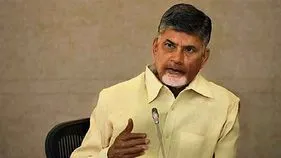 CM Chandrababu Meeting With Collectors: ఎక్కడా రాజీ పడొద్దు.. కలెక్టర్లకు సీఎం చంద్రబాబు దిశానిర్దేశం..