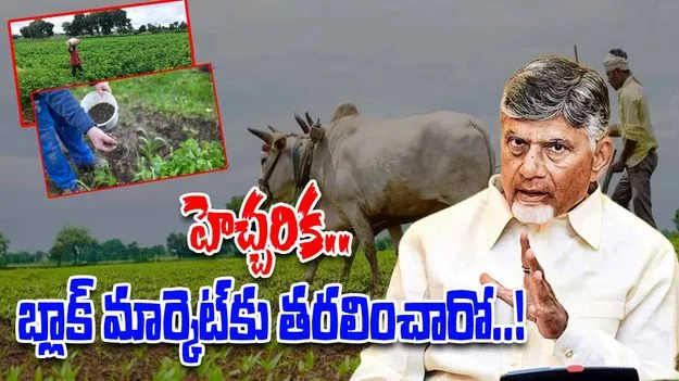 CM Chandrababu Review ON Horticultural Crops: ఉద్యాన పంటలకు మద్దతు ధరపై సీఎం చంద్రబాబు కీలక ఆదేశాలు