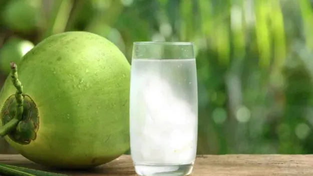 Coconut Water Side Effects: షాకింగ్ రిపోర్ట్.. ఈ ఆరోగ్య సమస్యలు ఉన్నవారు ఎట్టి పరిస్థితుల్లోనూ కొబ్బరి నీళ్లు తాగకూడదు.!