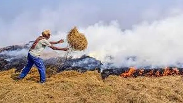 Crop Waste Burning: రైతుల్లో కొందరిని అరెస్టు చేస్తేగానీ  పంట వ్యర్థాల దహనం మానరు