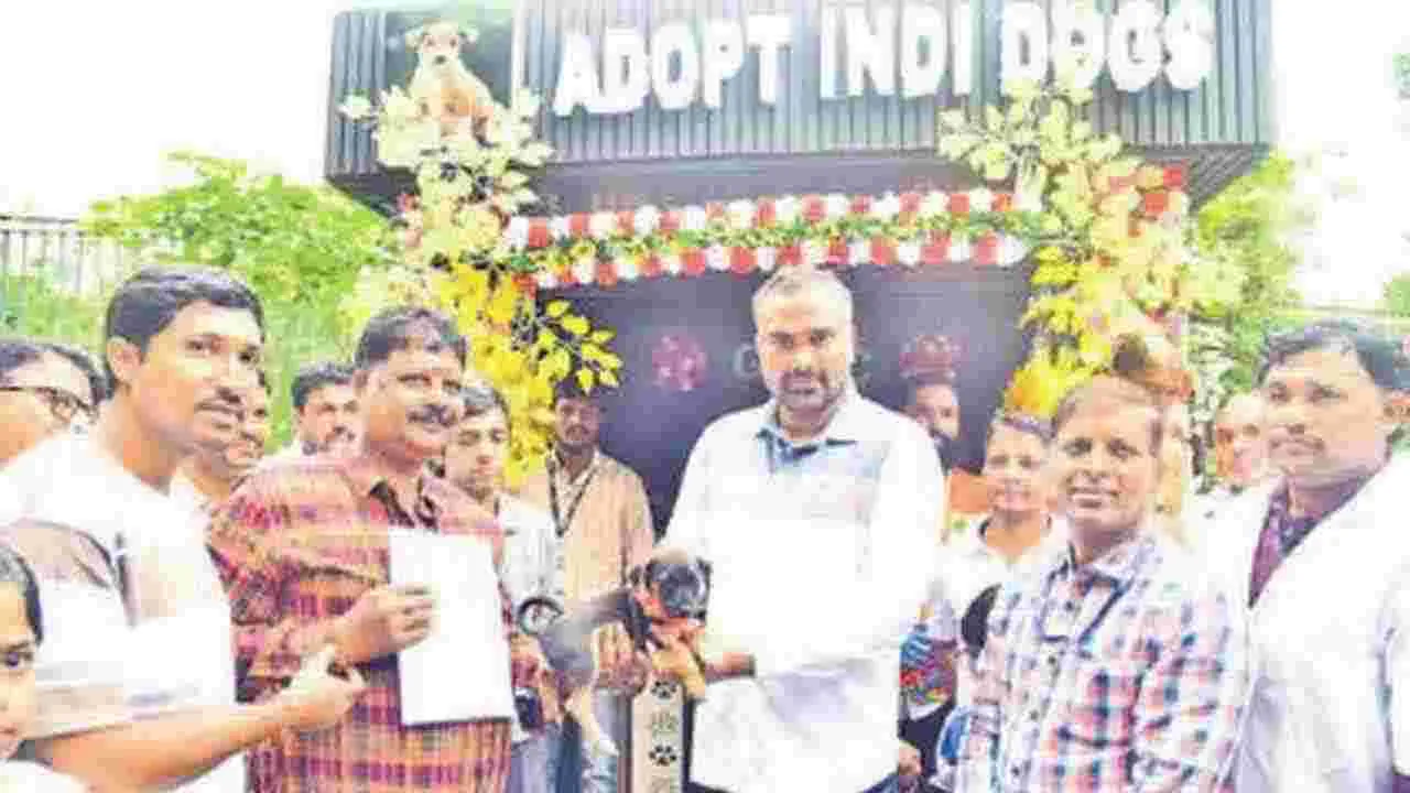 GHMC Dog Adoption Drive: బీ ఏ హీరో.. అడాఫ్ట్ పప్పీ నినాదంతో జాతీయ కుక్కల దత్తత మేళా
