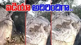 Deers VS Wild Dogs: చుట్టుముట్టిన అడవి కుక్కలు.. మాస్టర్ ప్లాన్ వేసిన జింకలు.. చివరకు..
