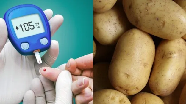 Diabetic Diet Potatoes: డయాబెటిస్ ఉన్నవారు బంగాళాదుంపలు తినడం మంచిదేనా?