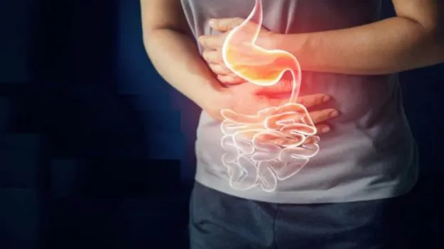 Habits That Harm Digestion: బీ కేర్ ఫుల్.. ఈ అలవాట్లు జీర్ణవ్యవస్థను నాశనం చేస్తాయి