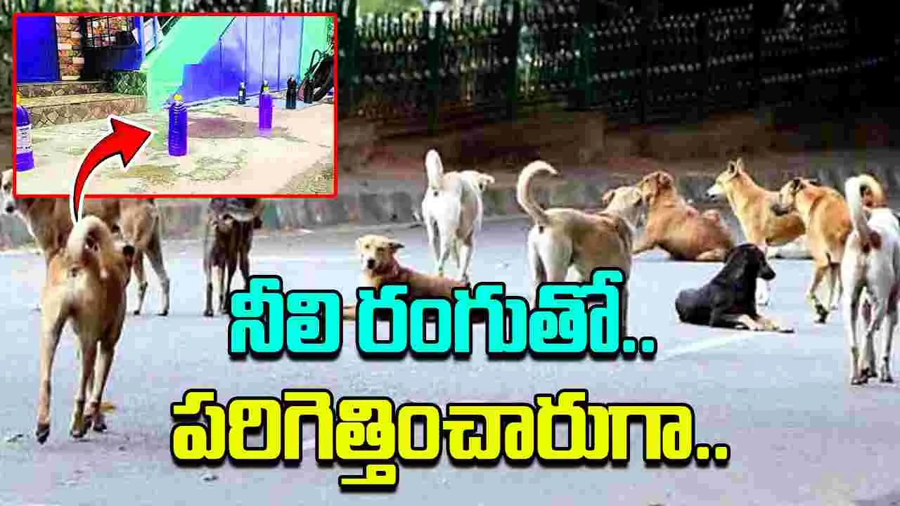 Dogs: అబ్బో.. ఈ ఐడియా ఏదో బాగానే ఉందిగా.. విషయం ఏంటంటే..