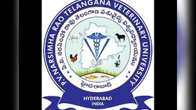 PV Veterinary University: 19న పీవీ విశ్వవిద్యాలయం ఐదో స్నాతకోత్సవం