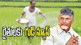 AP Government ON Farmers: రైతులకు బంపరాఫర్.. ఏపీ ప్రభుత్వం కీలక ప్రకటన