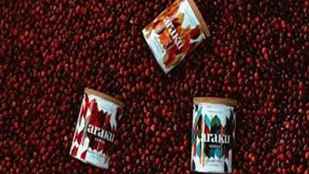 Araku Coffee: అన్ని నియోజకవర్గాలో అరకు కాఫీ షాపులు