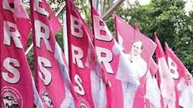 BRS Protests: బీఆర్‌ఎస్‌ నిరసనల మధ్య 4 బిల్లులకు మండలి ఆమోదం 