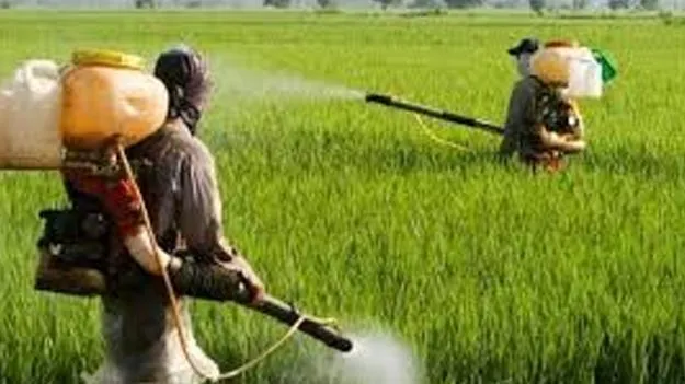 Urea Black Marketing: బయ్యారంలో బస్తాపై రూ.200 అదనంగా వసూలు