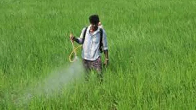 Urea Shortage: పడిగాపులు.. తోపులాటలు
