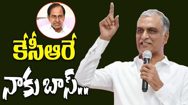 Harish Rao Fires on Congress: బీఆర్‌ఎస్‌ పార్టీకి కేసీఆరే సుప్రీం: హరీష్‌రావు