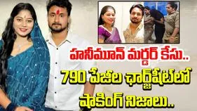 Raja Raghuvanshi Murder Case: భర్త రఘువంశీ హత్యకు సోనమ్ ఎలా ప్లాన్ చేసింది? ఛార్జ్‌షీట్‌లో విస్తుపోయే నిజాలు..