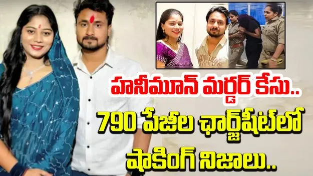 Raja Raghuvanshi Murder Case: భర్త రఘువంశీ హత్యకు సోనమ్ ఎలా ప్లాన్ చేసింది? ఛార్జ్‌షీట్‌లో విస్తుపోయే నిజాలు..