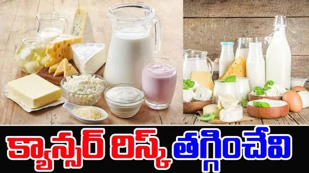 Indian Dairy Foods : క్యాన్సర్ రిస్క్ తగ్గించే పాల పదార్థాలు