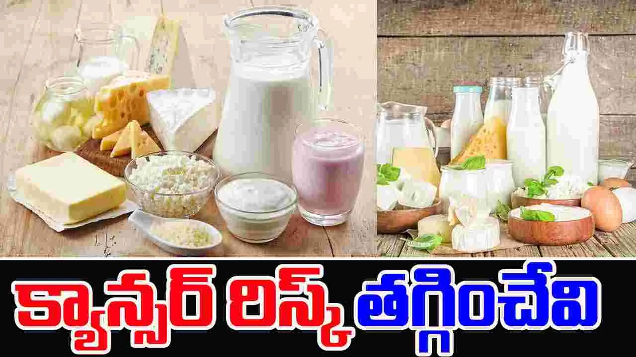 Indian Dairy Foods : క్యాన్సర్ రిస్క్ తగ్గించే పాల పదార్థాలు