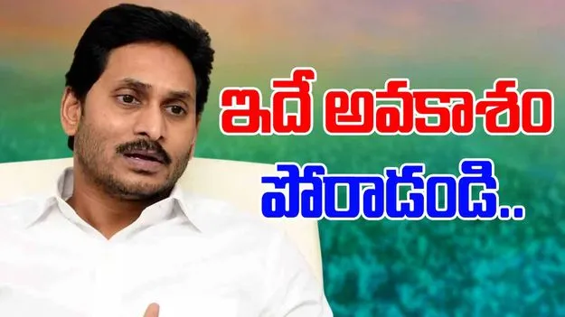 YS Jagan: మండలిలో మనకు బలం ఉంది.. సమస్యలపై మాట్లాడండి.. వైసీపీ నేతలకు జగన్ సూచన