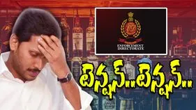 AP Liquor Scam Updates: రూ.175కోట్ల విలువైన బంగారు నాణేలు ఎవరి కోసం?.. బ్లాక్ మనీని వైట్‌గా మార్చి.. 