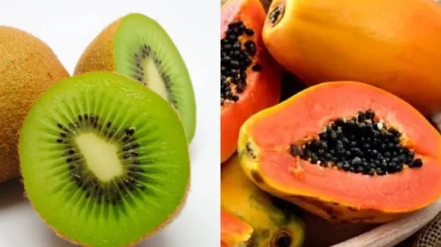 Kiwi Verses Papaya:  కివి Vs బొప్పాయి..ప్లేట్‌లెట్ కౌంట్ పెంచడానికి ఏ పండు బెస్ట్..