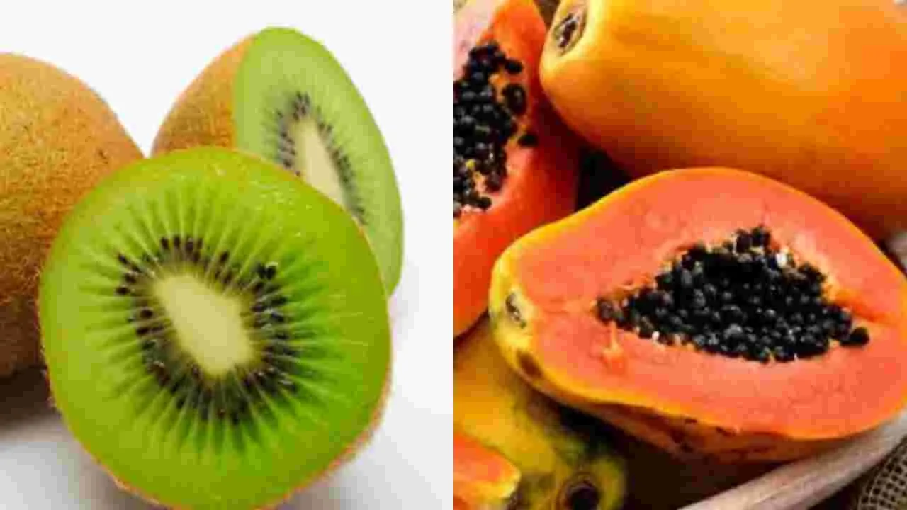 Kiwi Verses Papaya:  కివి Vs బొప్పాయి..ప్లేట్‌లెట్ కౌంట్ పెంచడానికి ఏ పండు బెస్ట్..