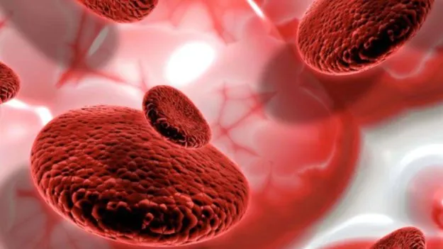 Symptoms of Low Hemoglobin: శరీరంలో హిమోగ్లోబిన్ తక్కువైతే ఏ లక్షణాలు కనిపిస్తాయో తెలుసా?