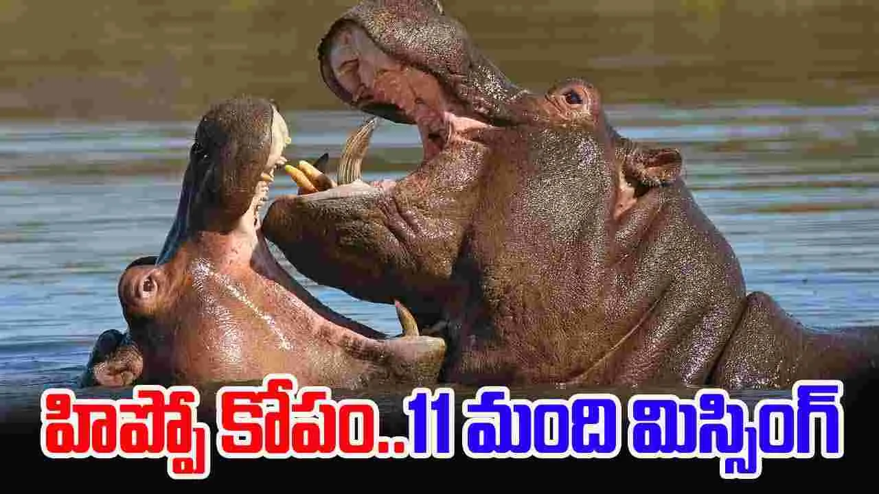 Hippo Capsizes Boat: పడవను ఎత్తి పడేసిన హిప్పో.. 11 మంది మిస్సింగ్..