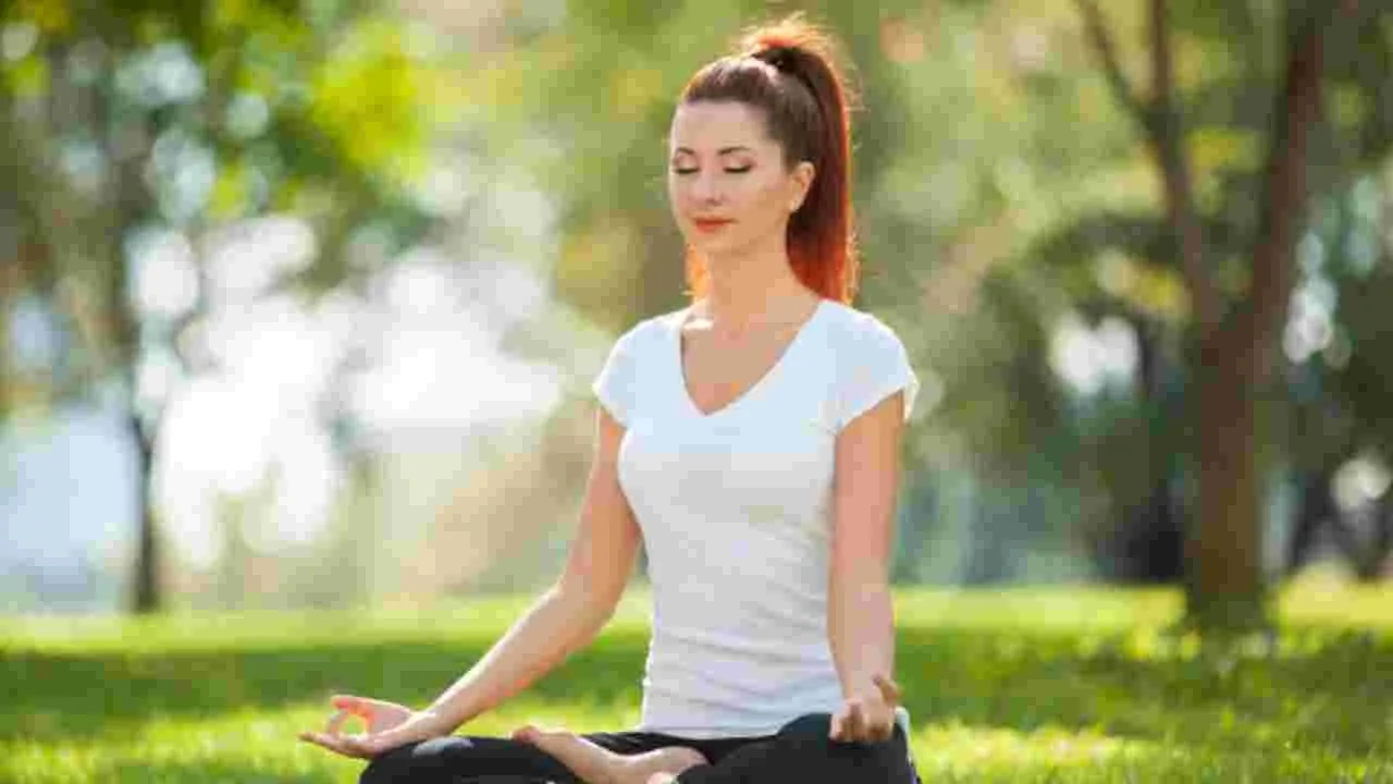 Yoga And Meditation For Brain Memory: యోగా, ధ్యానం మెదడు జ్ఞాపకశక్తిని మెరుగుపరుస్తాయా?