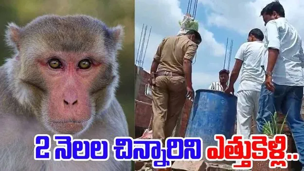 Monkeys Drag Infant Drown: కోతుల దారుణం.. 2 నెలల చిన్నారిని ఎత్తుకెళ్లి..