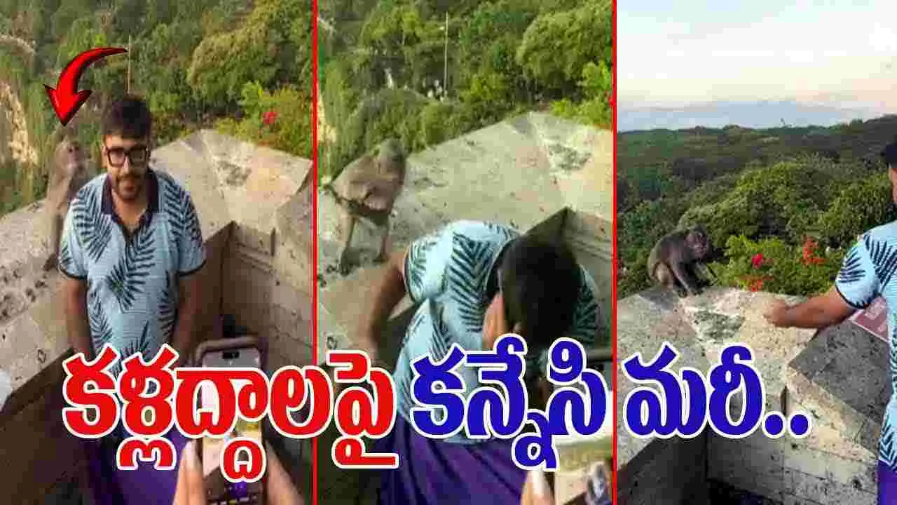 Monkey Steals Glasses: ఈ కోతి మరీ ఫన్నీ గురూ..  కళ్లద్దాలను కొట్టేసి.. చివరకు..