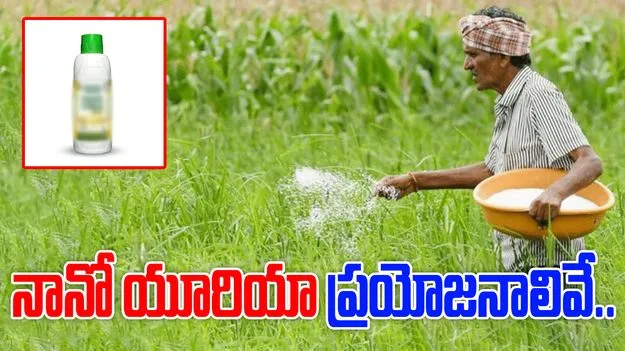 Nano Urea Benefits: ఖర్చు తక్కువ.. దిగుబడి ఎక్కువ .. నానో యూరియా ప్రయోజనాలివే....