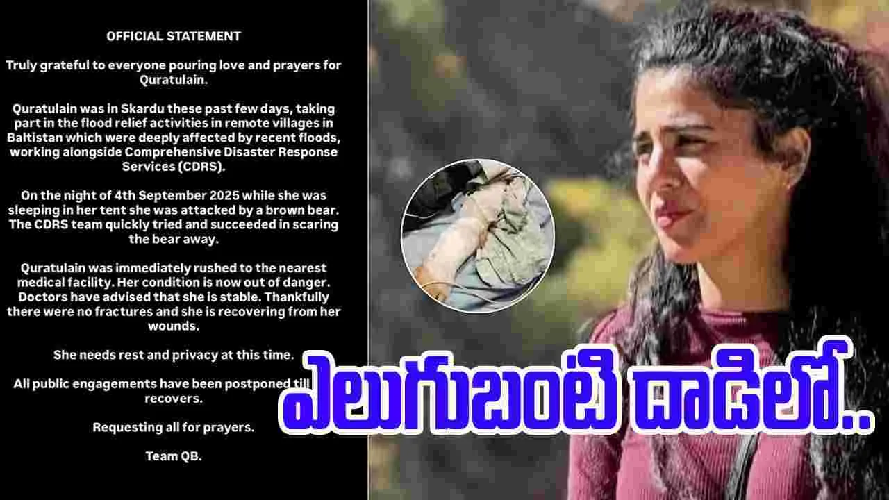 Bear Attack On Singer: ప్రముఖ సింగర్‌పై దాడి చేసిన ఎలుగుబంటి