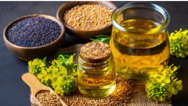 Olive oil Or Mustard oil: ఆలివ్ నూనె లేదా ఆవ నూనె.. ఆరోగ్యానికి ఏ నూనె మంచిది?