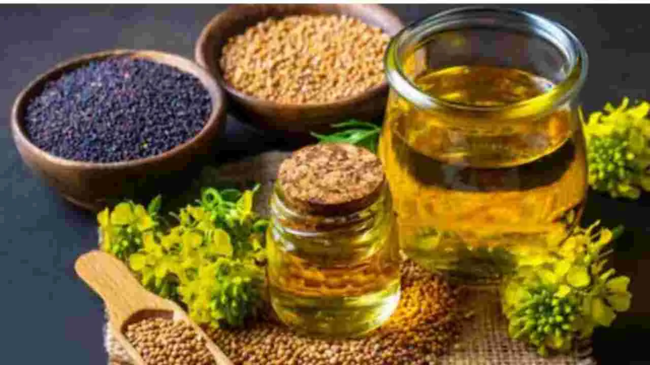 Olive oil Or Mustard oil: ఆలివ్ నూనె లేదా ఆవ నూనె.. ఆరోగ్యానికి ఏ నూనె మంచిది?