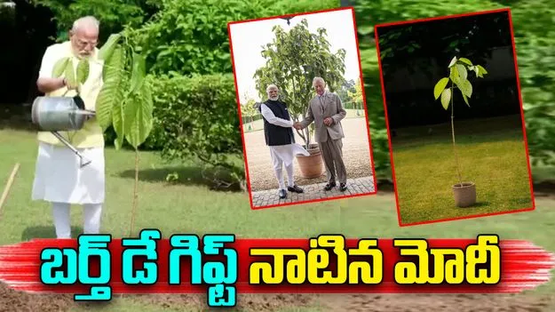 PM Modi Plants Kadamb Sapling: బర్త్‌డే గిఫ్ట్.. కదంబ్ మొక్కను నాటిన ప్రధాని మోదీ 