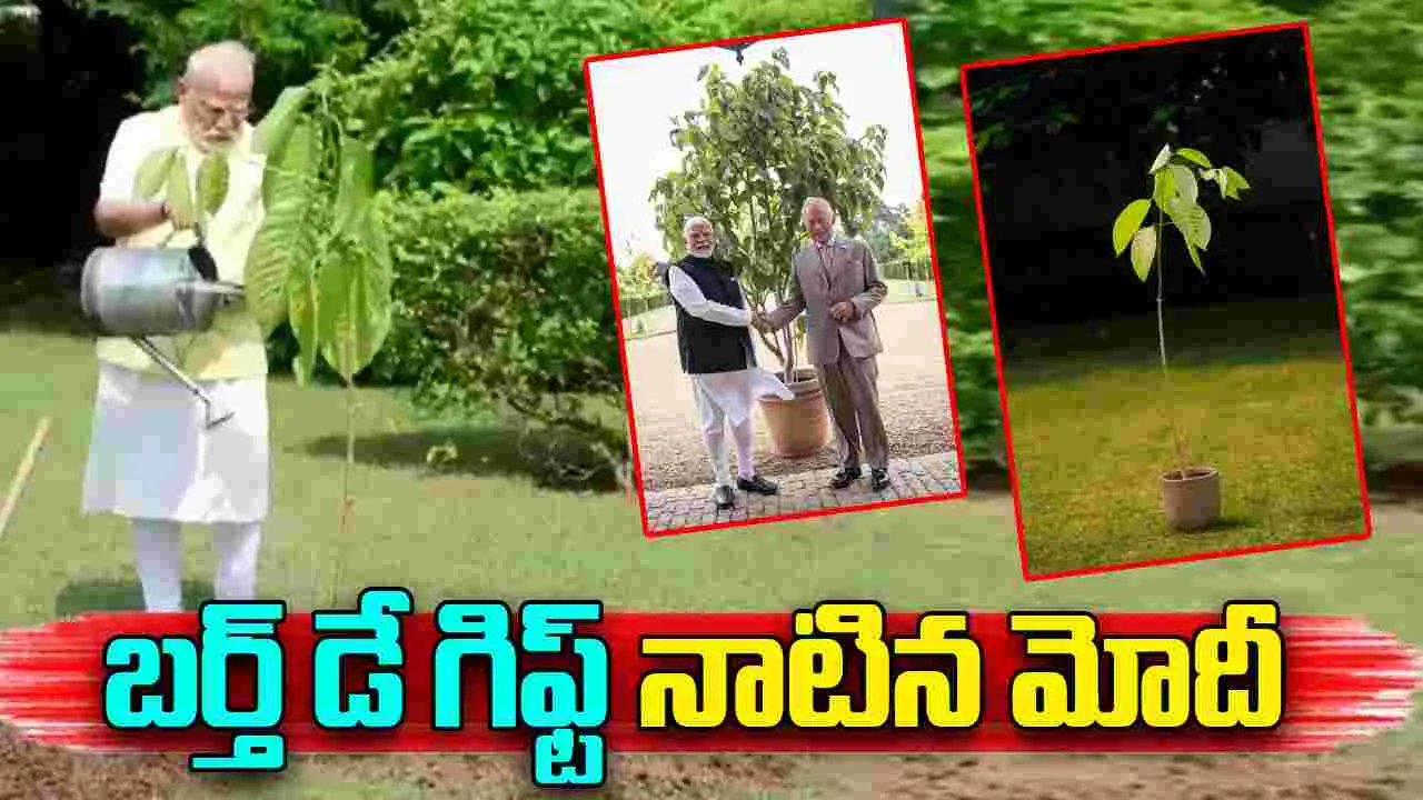 PM Modi Plants Kadamb Sapling: బర్త్‌డే గిఫ్ట్.. కదంబ్ మొక్కను నాటిన ప్రధాని మోదీ 