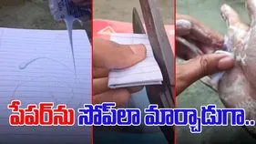 Paper Jugaad Video: పేపర్‌తో హ్యాండ్ వాష్ క్రీమ్.. ఇతడి ప్రయోగం మామూలుగా లేదుగా.. 